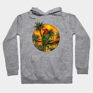 Parrot of Telegraph Hill - San Francisco CA Hoodie